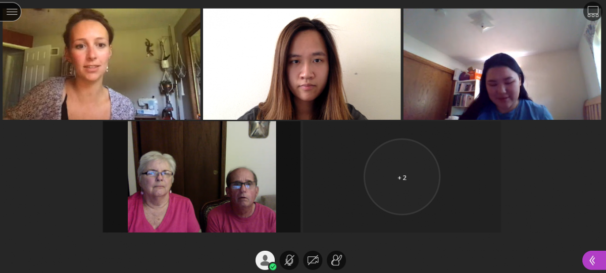 IPE Simulation Virtual Meeting Participant Picture