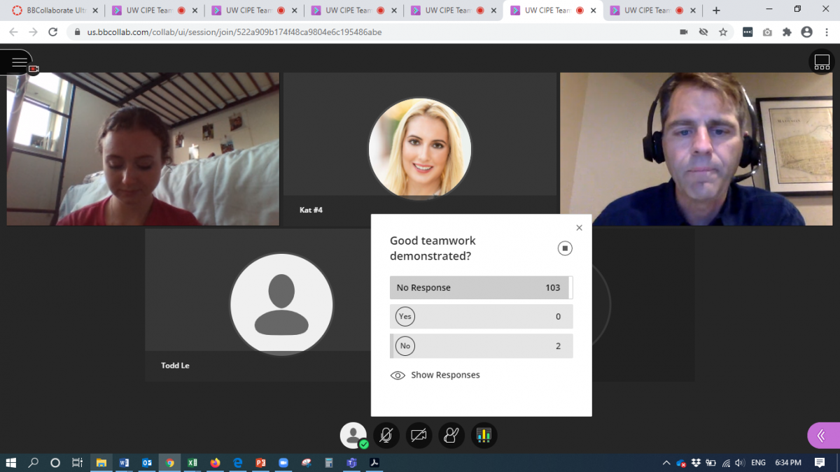 Teamwork Module Virtual Meeting Participants Picture