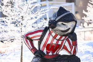 Winter theme Bucky Badger