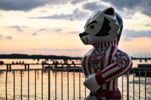 A Bucky Badger statue titled "Retro Bucky," by artist S.V. Medaris, fills the foreground near the Below Alumni Center at the University of Wisconsin-Madison as the setting sun falls over the Goodspeed Family Pier and Lake Mendota during a summer evening on June 30, 2021. The statue is one of 85 life-size Bucky Badger statues from a 2018 public art project known as Bucky on Parade. (Photo by Jeff Miller / UW-Madison)(Photo by Jeff Miller / UW-Madison)