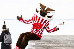 Bucky sitting on the pier